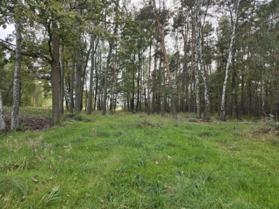 Działka budowlana - Ożarowice   - Śląskie