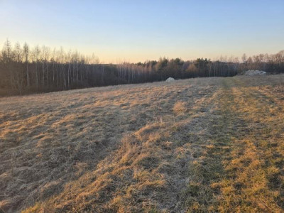 Działka budowlana - Najdziszów   -
Śląskie