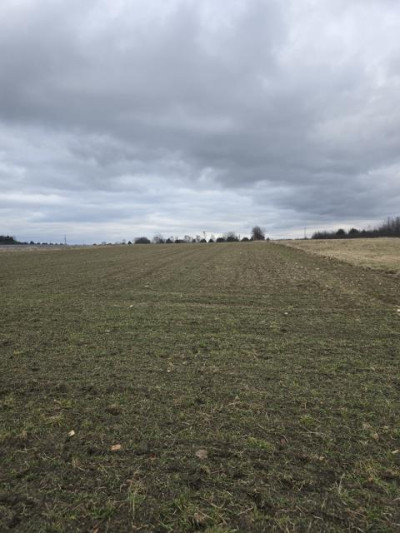 Działka budowlana - Tąpkowice   -
Śląskie Zdjęcie nr 3