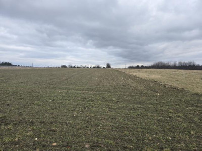 Działka budowlana - Tąpkowice   -
Śląskie Zdjęcie nr 4