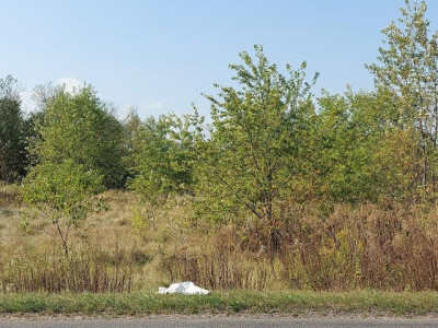 Działka rolno-budowlana - Sączów   -
Śląskie Zdjęcie nr 5