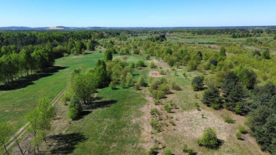 Działka rolno-budowlana - Sączów   -
Śląskie Zdjęcie nr 6