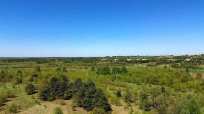 Działka rolno-budowlana - Sączów   -
Śląskie Zdjęcie nr 7