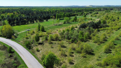 Działka rolno-budowlana - Sączów   -
Śląskie Zdjęcie nr 9