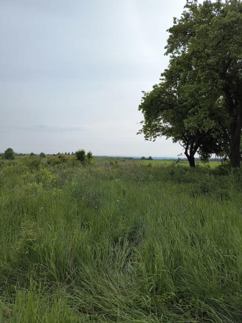 Działka budowlana - Nowa Wieś   -
Śląskie Zdjęcie nr 1