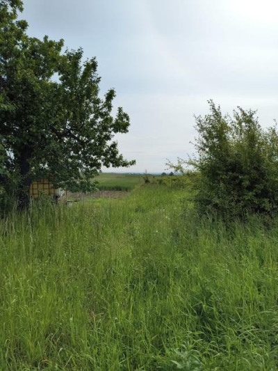Działka budowlana - Nowa Wieś   -
Śląskie Zdjęcie nr 2