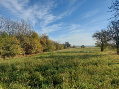 Działka budowlana - Nowa Wieś   -
Śląskie Zdjęcie nr 5