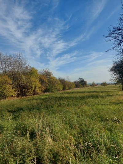 Działka budowlana - Nowa Wieś   -
Śląskie Zdjęcie nr 7