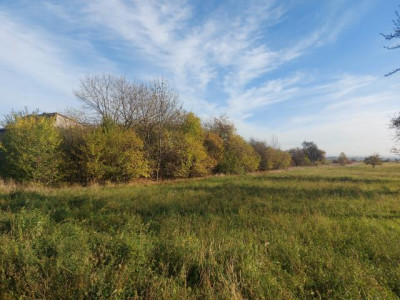 Działka budowlana - Nowa Wieś   -
Śląskie Zdjęcie nr 8