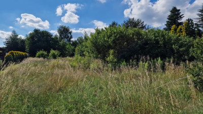Działka budowlana - Rokitno Szlacheckie   -
Śląskie Zdjęcie nr 3