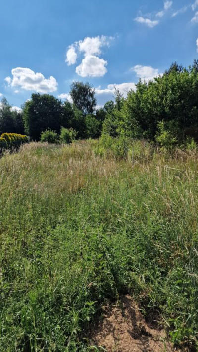 Działka budowlana - Rokitno Szlacheckie   -
Śląskie Zdjęcie nr 4