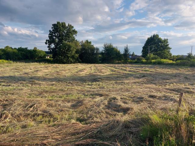 Działka budowlana - Sikorka  -
Śląskie Zdjęcie nr 1