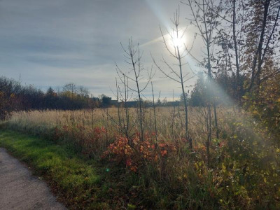 Działka budowlana - Wysoka   -
Śląskie Zdjęcie nr 5