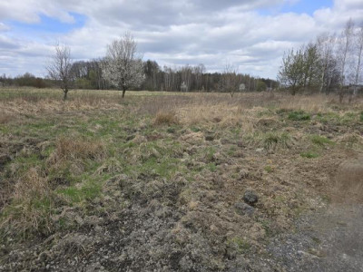 Działka budowlana - Preczów   -
Śląskie