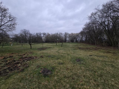 Działka budowlana - Będzin Grodziec  -
Śląskie Zdjęcie nr 2