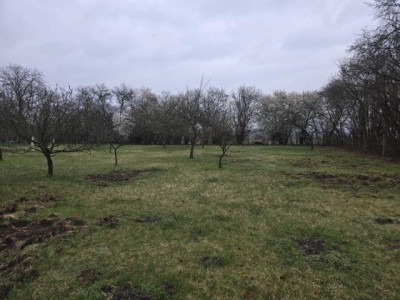 Działka budowlana - Będzin Grodziec  -
Śląskie Zdjęcie nr 3