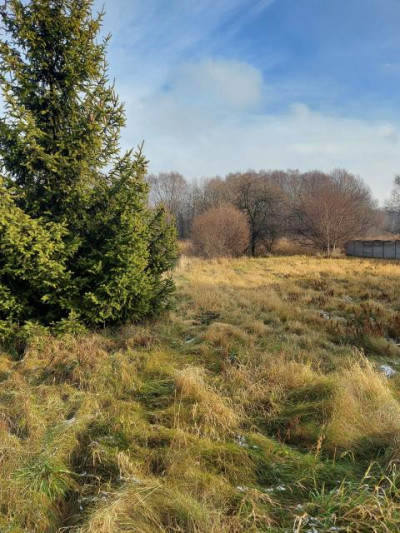 Działka budowlana - Chruszczobród   - Śląskie