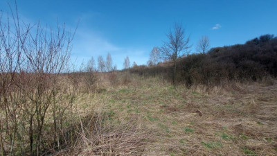 Działka budowlana - Niegowoniczki   -
Śląskie Zdjęcie nr 11