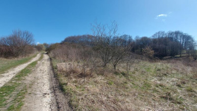 Działka budowlana - Niegowoniczki   -
Śląskie Zdjęcie nr 13