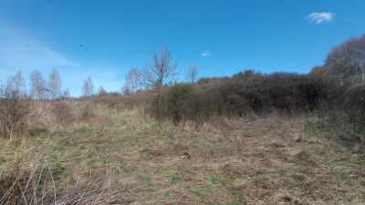 Działka budowlana - Niegowoniczki   -
Śląskie Zdjęcie nr 14