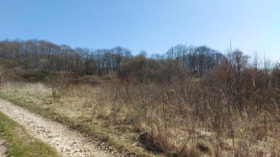 Działka budowlana - Niegowoniczki   -
Śląskie Zdjęcie nr 8