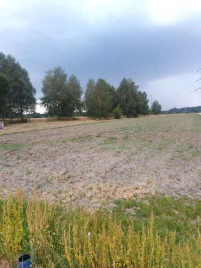 Działka rolno-budowlana - Warężyn   -
Śląskie Zdjęcie nr 2