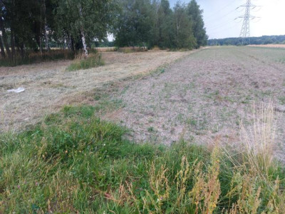 Działka rolno-budowlana - Warężyn   -
Śląskie Zdjęcie nr 3