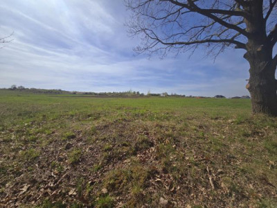 Działka budowlana - Myszkowice   -
Śląskie Zdjęcie nr 2