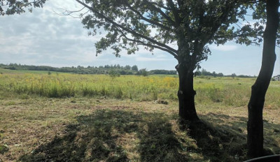 Działka budowlana - Myszkowice   -
Śląskie Zdjęcie nr 4