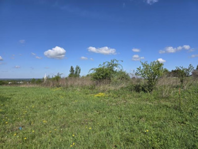 Działka budowlana - Siemonia   -
Śląskie Zdjęcie nr 4