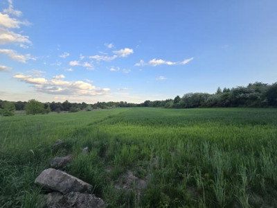 Działka budowlana - Najdziszów   -
Śląskie Zdjęcie nr 2
