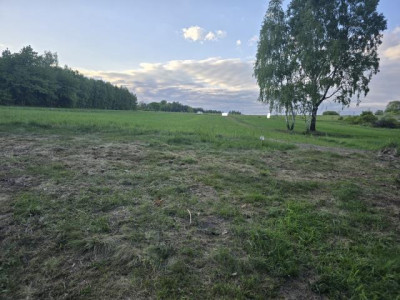 Działka budowlana - Najdziszów   -
Śląskie Zdjęcie nr 3