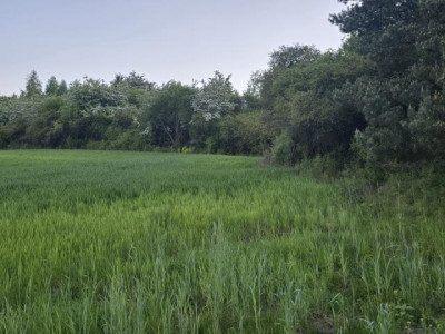 Działka budowlana - Najdziszów   -
Śląskie Zdjęcie nr 8