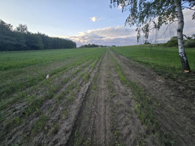 Działka budowlana - Najdziszów   -
Śląskie Zdjęcie nr 9