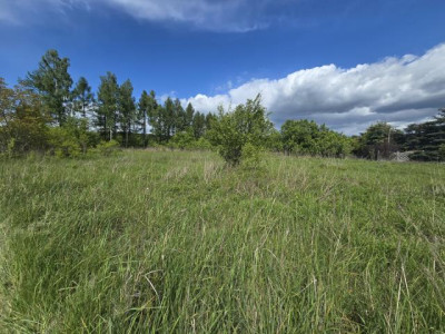 Działka budowlana - Sikorka  -
Śląskie Zdjęcie nr 5