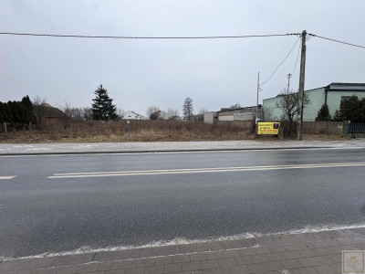 Działka budowlana na sprzedaż w Dachowej - Dachowa  -
wielkopolskie Zdjęcie nr 6