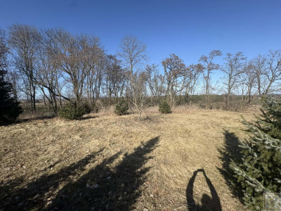 Sielski klimat Natury 2000 tylko 35 km od Poznania - Łubowice  -
wielkopolskie Zdjęcie nr 12