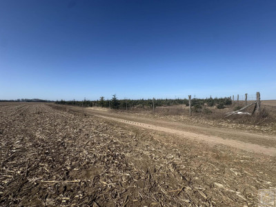 Sielski klimat Natury 2000 tylko 35 km od Poznania - Łubowice  -
wielkopolskie Zdjęcie nr 8