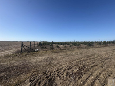 Sielski klimat Natury 2000 tylko 35 km od Poznania - Łubowice  -
wielkopolskie Zdjęcie nr 9