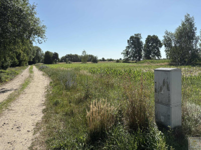Twoja prywatna natura za niewielkie pieniądze - Osowo Stare  - wielkopolskie