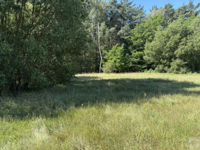 Twoja prywatna natura za niewielkie pieniądze - Osowo Stare  -
wielkopolskie Zdjęcie nr 7