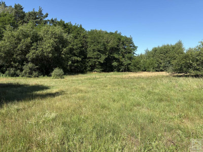 Twoja prywatna natura za niewielkie pieniądze - Osowo Stare  -
wielkopolskie Zdjęcie nr 8