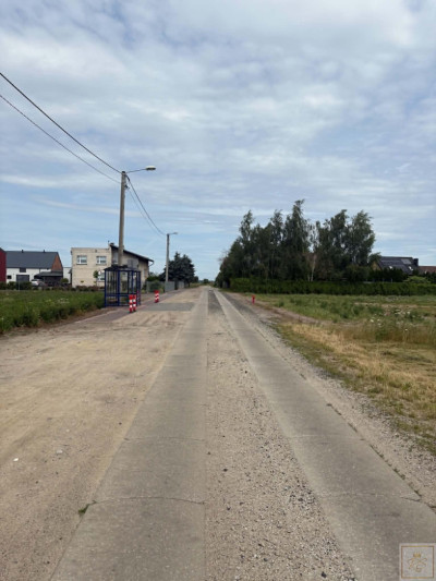 Działka siedliskowa tylko 20 km od Poznania - Przecław  -
wielkopolskie Zdjęcie nr 4