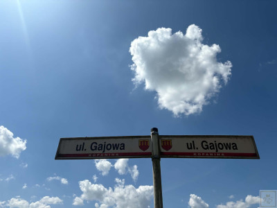 KOPANINA  działka w wyjątkowym miejscu vis a vis lściany lasu - Kopanina  -
wielkopolskie Zdjęcie nr 5