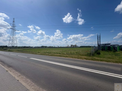 Szamotuły działka pod market - Kępa  -
wielkopolskie Zdjęcie nr 2