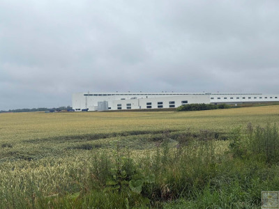 Ten grunt to gwarancja inwestycji na wiele lat - Bytyń  -
wielkopolskie Zdjęcie nr 2