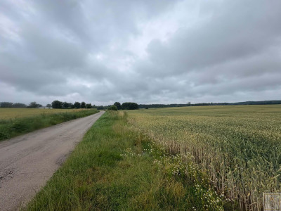 Ten grunt to gwarancja inwestycji na wiele lat - Bytyń  -
wielkopolskie Zdjęcie nr 3
