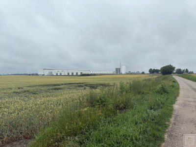 Ten grunt to gwarancja inwestycji na wiele lat - Bytyń  -
wielkopolskie Zdjęcie nr 4