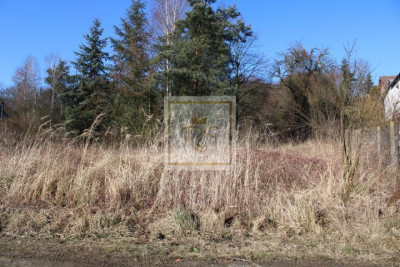 Murowana Goślina działka pod kameralne osiedle - Murowana Goślina   -
wielkopolskie
