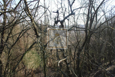 Murowana Goślina działka pod kameralne osiedle - Murowana Goślina   -
wielkopolskie Zdjęcie nr 2